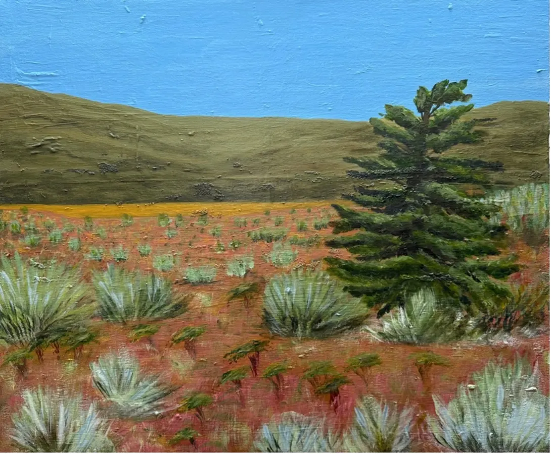 Exhibitions at Cedar Hill Recreation and Arts Centre