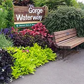 Gorge Waterway Park in Saanich, British Columbia