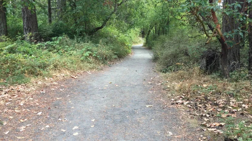 A forest section of the Elk/Beaver Lake 10 km trail